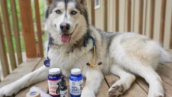 HEMP OIL FOR DOGS: Pup Science Care Packs Promote Healthy, Active Pups