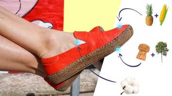 Scooting Forward: Northwestern University Students Sell Pineapples for Your Feet