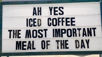 42 Of The Best Damn Photos On The Internet This Morning