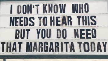 42 Of The Best Damn Photos On The Internet This Morning