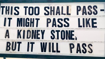 42 Of The Best Damn Photos On The Internet This Morning