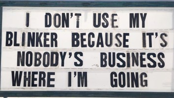 42 Of The Best Damn Photos On The Internet This Morning