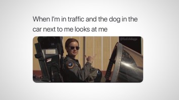 43 Of The Best Damn Photos On The Internet This Afternoon