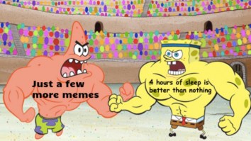 43 Of The Best Damn Photos On The Internet This Afternoon