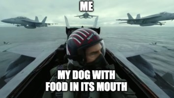 43 Of The Best Damn Photos On The Internet This Afternoon