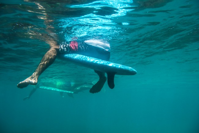 surfer underwater photo