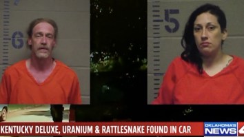 Yippee Ki-Yay Motherf*cker: Couple Arrested For Driving A Stolen Car Filled With Uranium, Guns, Whiskey And A Rattlesnake
