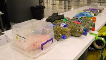 Here’s Exactly What Happens To All The Illegal Items People Try To Smuggle Into JFK Airport