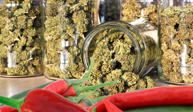 4 Tons Of Marijuana Found Hidden Inside Shipment Of Jalapeño Peppers
