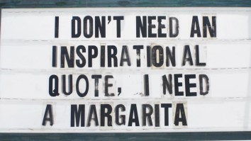 42 Of The Best Damn Photos On The Internet This Morning