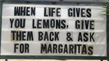 42 Of The Best Damn Photos On The Internet This Morning