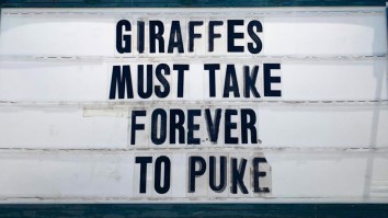 42 Of The Best Damn Photos On The Internet This Morning