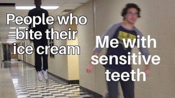 43 Of The Best Damn Photos On The Internet This Afternoon