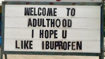 42 Of The Best Damn Photos On The Internet This Morning