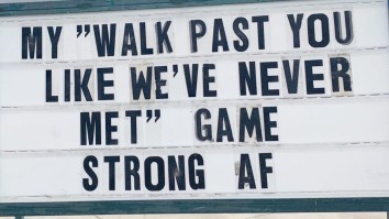 42 Of The Best Damn Photos On The Internet This Morning