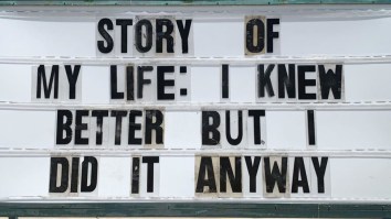 42 Of The Best Damn Photos On The Internet This Morning