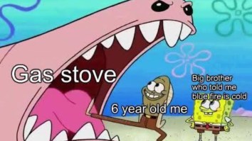 43 Of The Best Damn Photos On The Internet This Afternoon