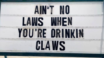 42 Of The Best Damn Photos On The Internet This Morning