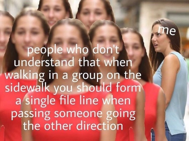 funniest daily memes best damn photos