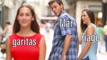 43 Of The Best Damn Photos On The Internet This Afternoon