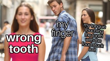 43 Of The Best Damn Photos On The Internet This Afternoon