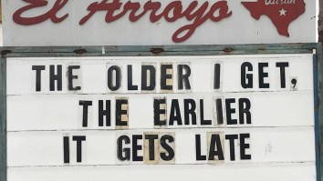 42 Of The Best Damn Photos On The Internet This Morning