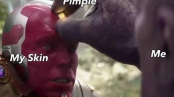 43 Of The Best Damn Photos On The Internet This Afternoon