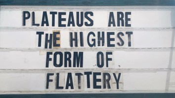 42 Of The Best Damn Photos On The Internet This Morning