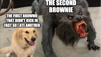 43 Of The Best Damn Photos On The Internet This Afternoon