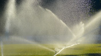 Soccer Reporter Gets Wrecked By A Sprinkler On Live TV But Handles It Like A Champ
