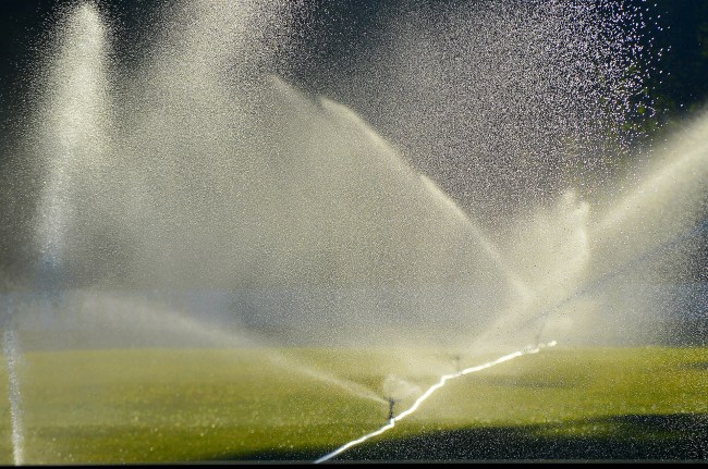 lawn sprinklers