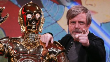 Mark Hamill Had An A+ Response To An Arrest Warrant Being Issued For A Man Named Luke Sky Walker