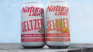 Natty Light Hard Seltzer: Natty Is Entering The Hard Seltzer Game With A Cheaper Hard Seltzer, Sold By The Case
