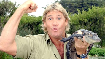 Miami Marlins Apologize For Reminding The Rays That They Killed Steve Irwin