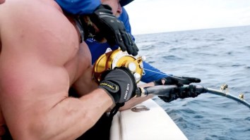 Some Of Weightlifting’s Strongest Men Square Off Against GIANT Goliath Grouper In The Ultimate Test Of Man Versus Beast