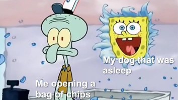 43 Of The Best Damn Photos On The Internet This Afternoon