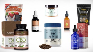 11 Of The Best CBD Products For Pets — For Anxiety, Joint Pain, And More