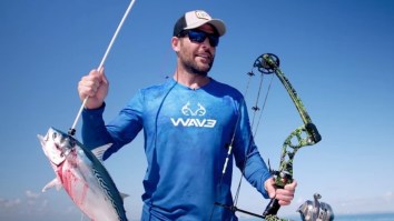 Bow Fishing For Bonito With Sharks Swarming All Over Is Taking Fishing To The Extreme