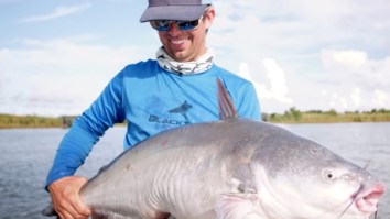 Dude Catches A Monster Catfish In The Mighty Mississippi River Using A Yellowfin Tuna Carcass As Bait!