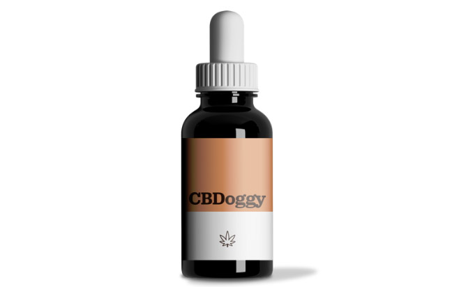 Best CBD Products For Pets For Anxiety Joint Pain More