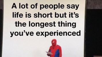 43 Of The Best Damn Photos On The Internet This Afternoon