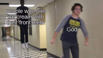 43 Of The Best Damn Photos On The Internet This Afternoon