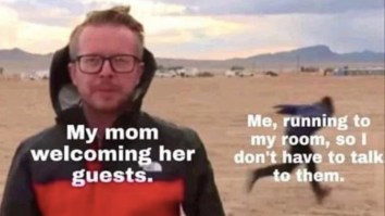 43 Of The Best Damn Photos On The Internet This Afternoon