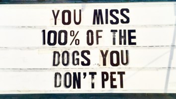 50 Of The Best Damn Photos On The Internet Today