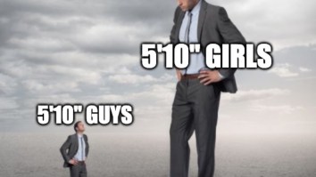 43 Of The Best Damn Photos On The Internet This Afternoon