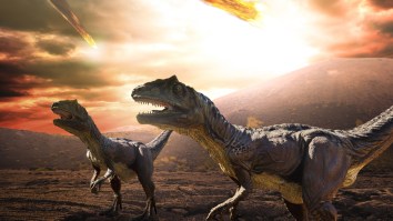 Unearthed Rocks Provide Stunning Details Of Day Dinosaurs Were Killed By Asteroid With Force Of 10 Billion Atomic Bombs