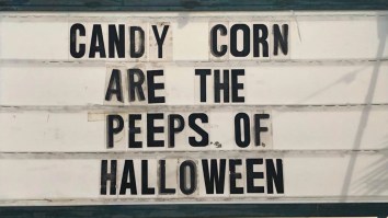 50 Of The Best Damn Photos On The Internet Today