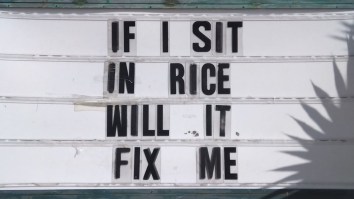 50 Of The Best Damn Photos On The Internet Today