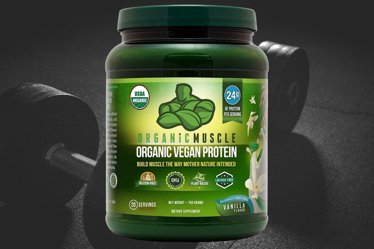 Protein Powders For Gut Health at Jessie Meyers blog