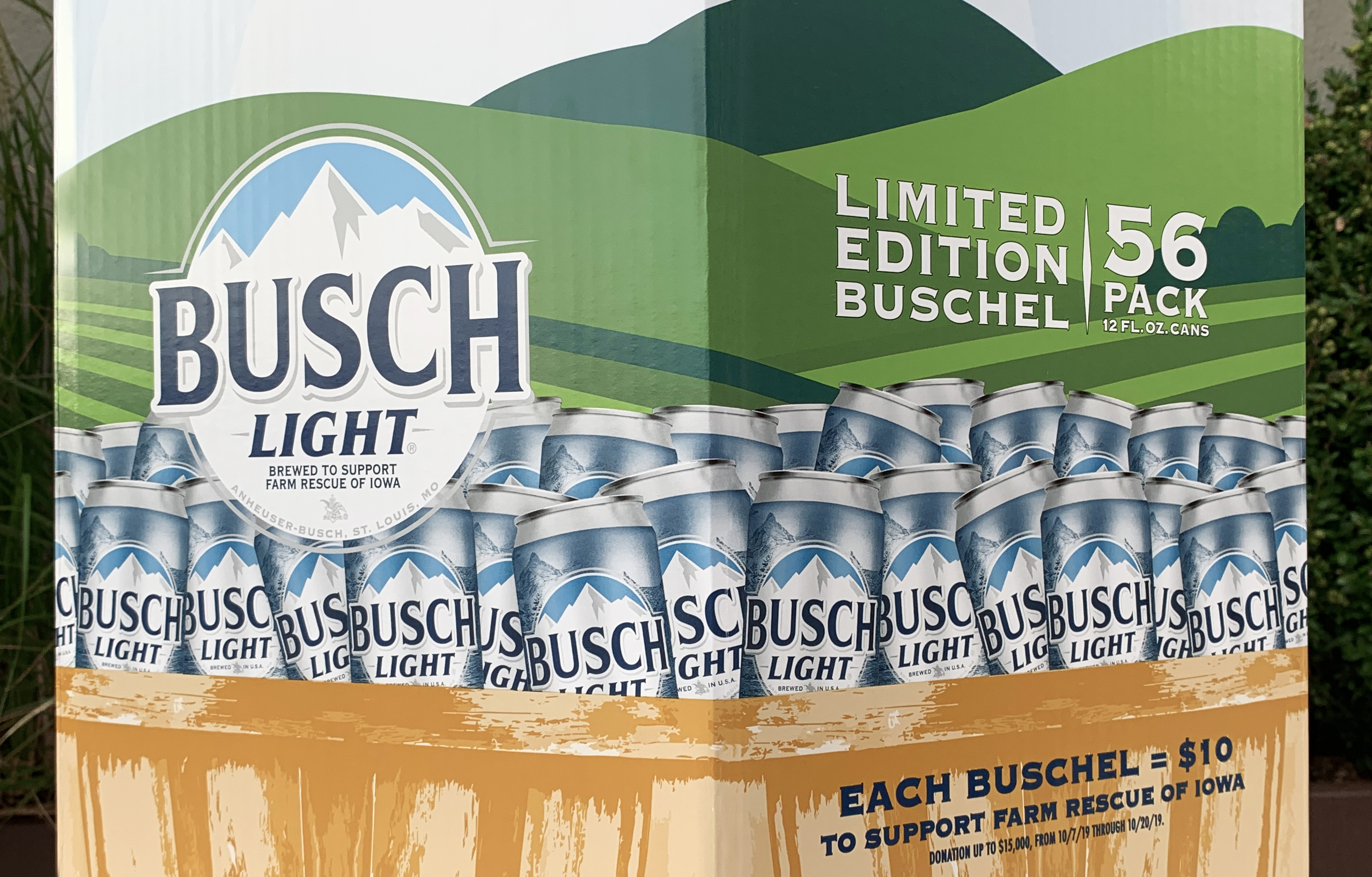 how much is a case of busch light | Decoratingspecial.com